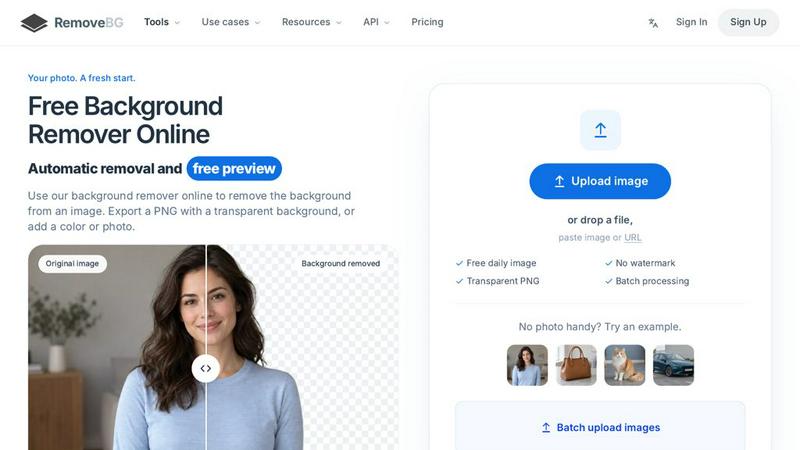 RemoveBG application interface and features