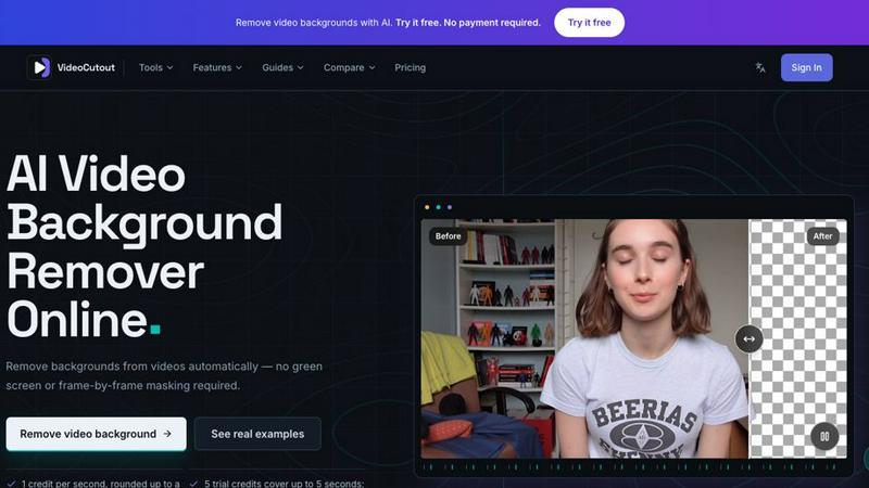 VideoCutout application interface and features